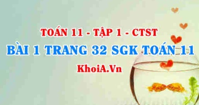 Bài 1 trang 32 SGK Toán 11 Tập 1 Chân trời sáng tạo